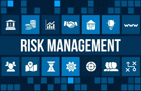 Strategic Risk Management Services